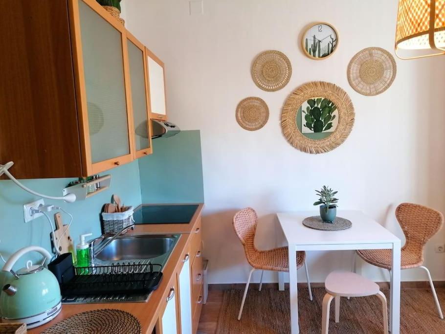 Studio Apartman Cactus Lejlighed Zagreb Eksteriør billede