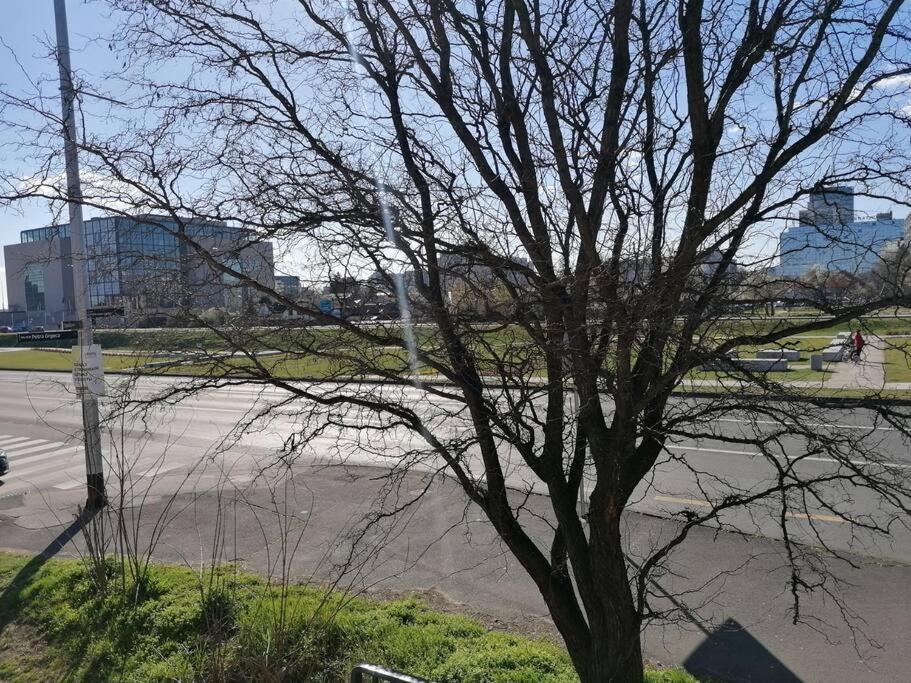 Studio Apartman Cactus Lejlighed Zagreb Eksteriør billede
